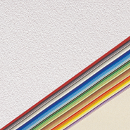 日丹 迪 紙 タント